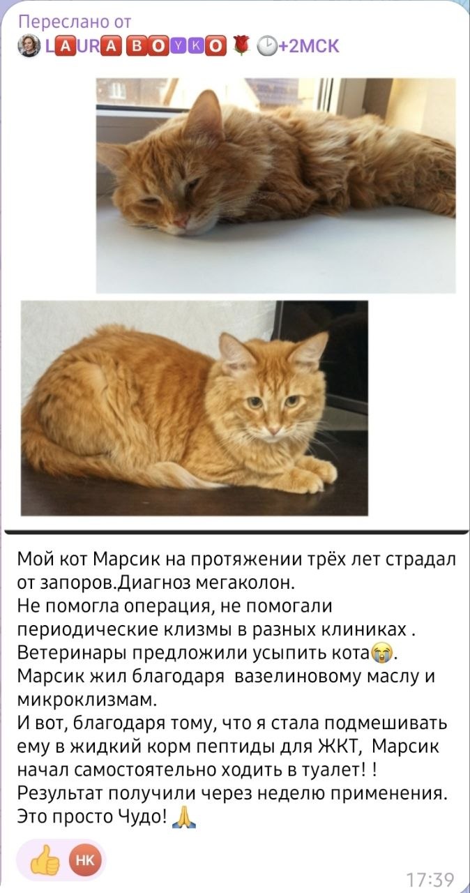 Фото к отзыву Лаура
